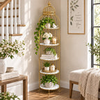 Aimaas Special 4 Layers Birds Cages Rack Storage