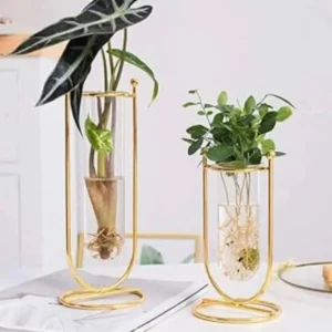 Img 20240803 214339 053 1.webp