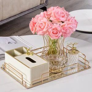 Premium Quality Display Tray For Vanity
